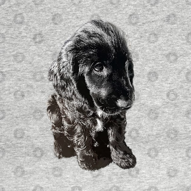 English Cocker Spaniel Black Puppy Dog - Adorable! by ElegantCat